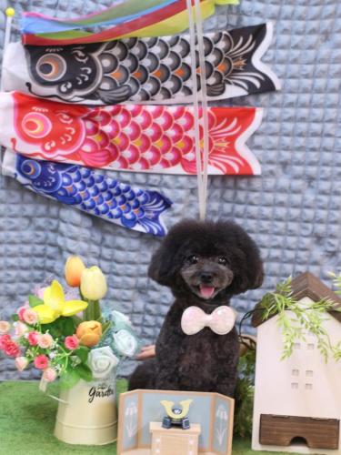 20230528NEROちゃん